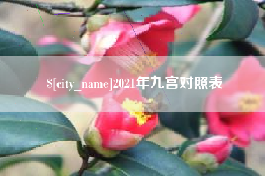 京山2021年九宫对照表
