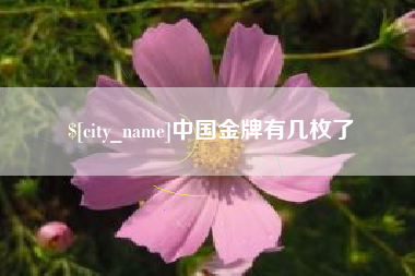 京山中国金牌有几枚了