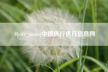 京山中国执行执行信息网