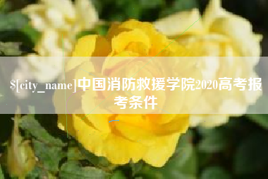 京山中国消防救援学院2020高考报考条件