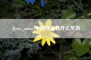 京山中国夺金有什么奖励