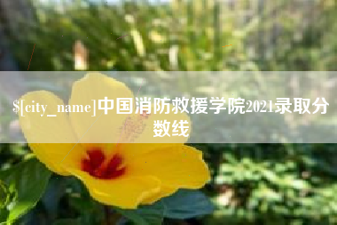 京山中国消防救援学院2021录取分数线