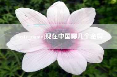 京山现在中国哪几个金牌