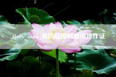 京山消防证国网查询操作证