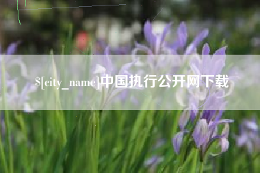 京山中国执行公开网下载