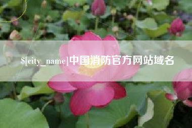 京山中国消防官方网站域名