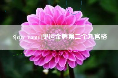 京山奥运金牌第二个九宫格