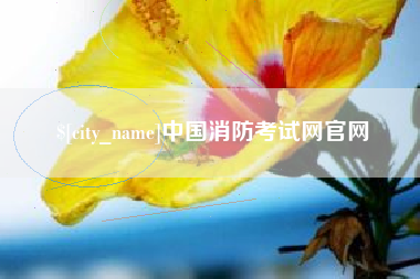 京山中国消防考试网官网