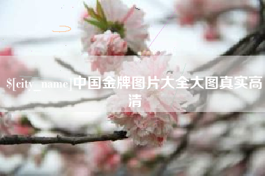 京山中国金牌图片大全大图真实高清