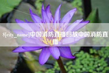 京山中国消防直播回放中国消防直播