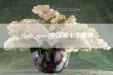 京山中国第十个金牌