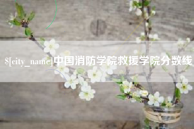 京山中国消防学院救援学院分数线