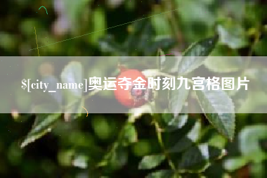 京山奥运夺金时刻九宫格图片