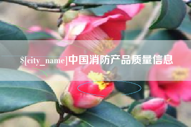 京山中国消防产品质量信息
