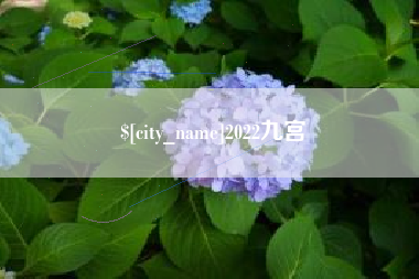 京山2022九宫