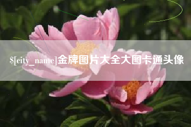京山金牌图片大全大图卡通头像