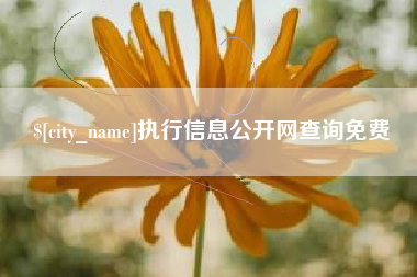 京山执行信息公开网查询免费