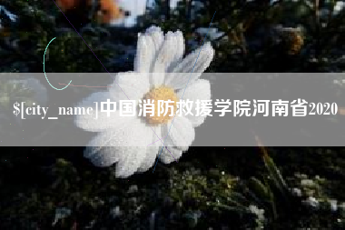 京山中国消防救援学院河南省2020